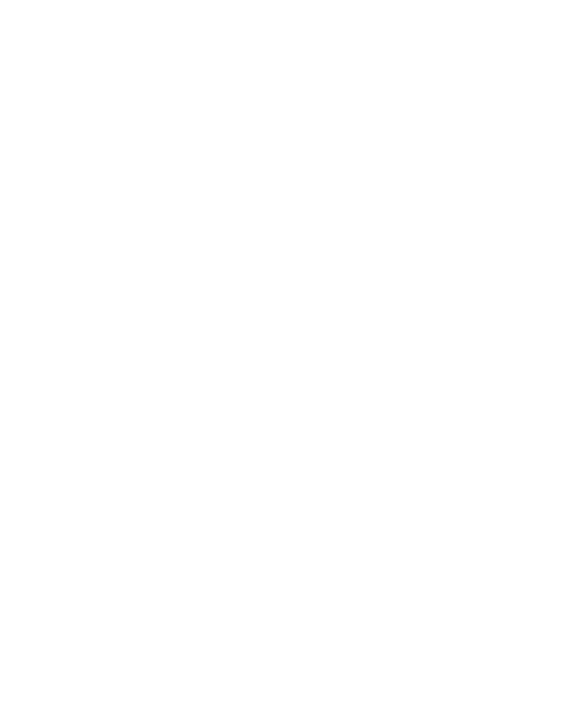 Barak Rotem monogram